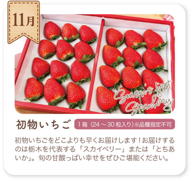 いちごの頒布会_11月