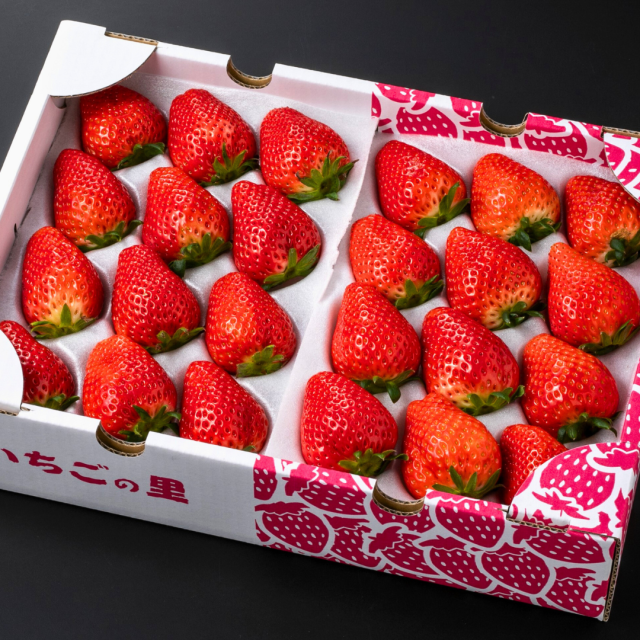 スカイベリー24〜30粒