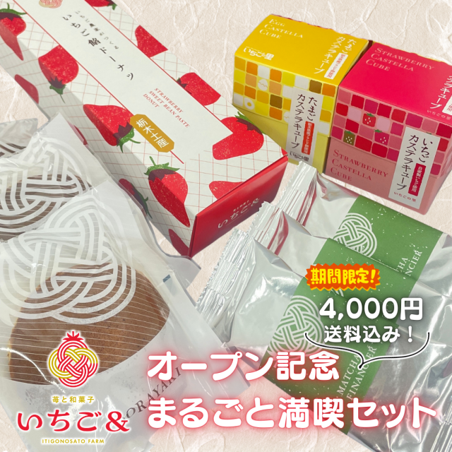 【期間限定販売】いちご＆オープン記念 まるごと満喫セット　※送料込み