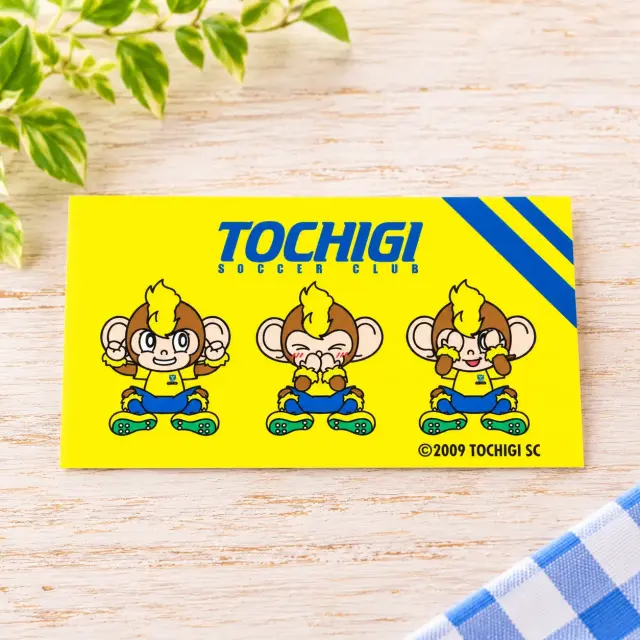 トッキーのおやつカステラ