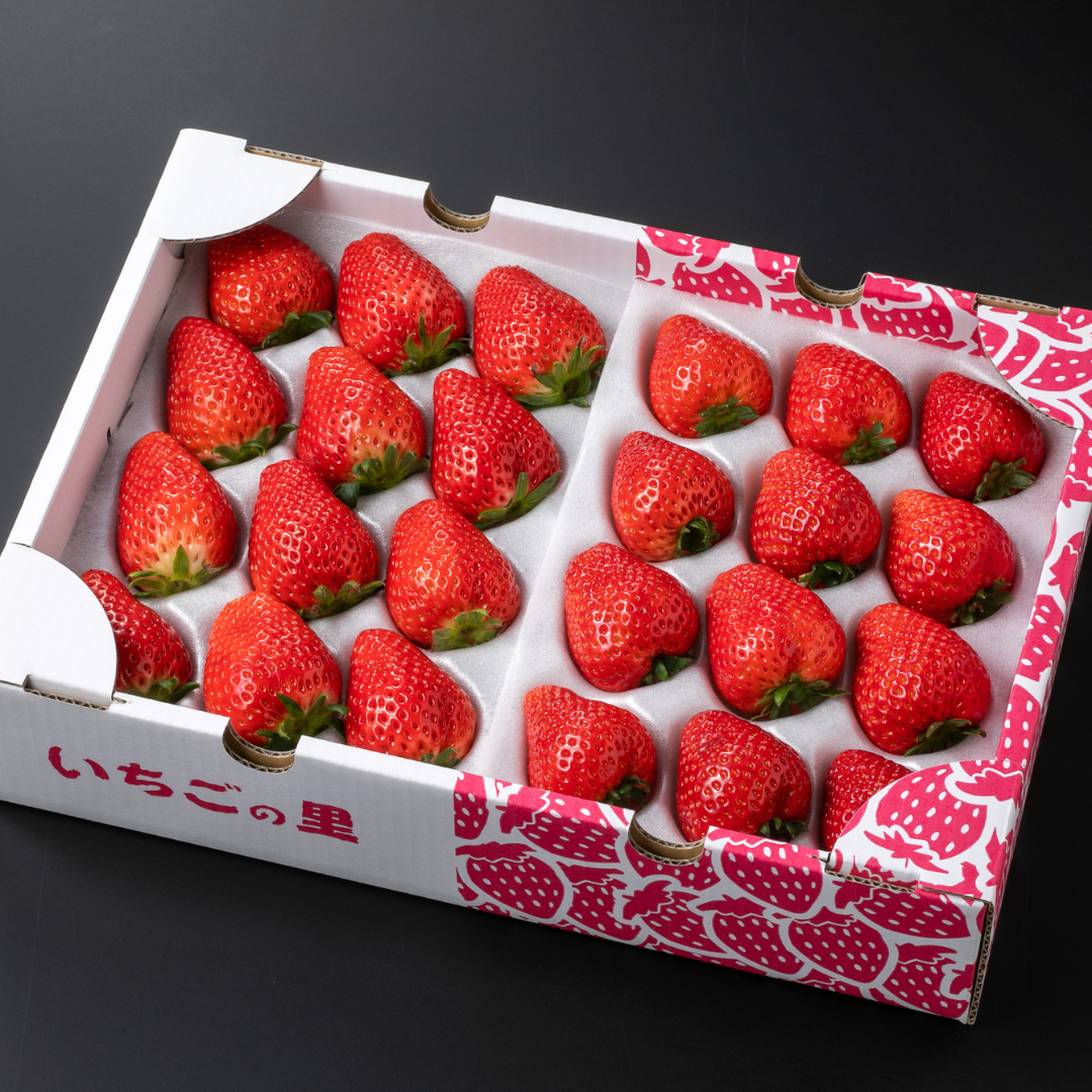 ◆苺◆同梱あり ご予約受付中】いちご食べ比べセット（スカイベリー＆とちあいか 24