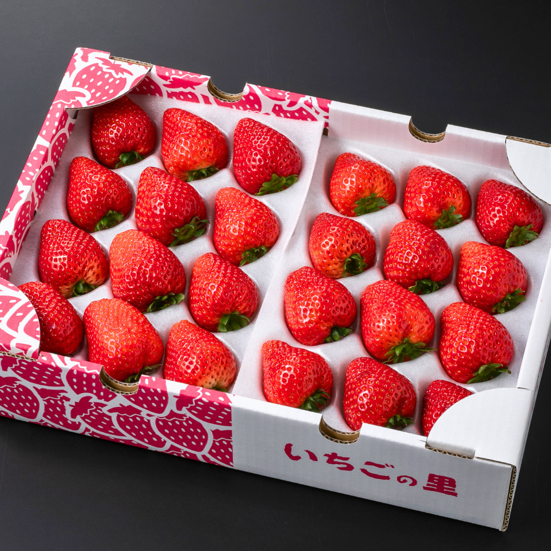 2月上旬頃発送】とちあいか（24〜30粒入り） いちごの里オンラインショップ