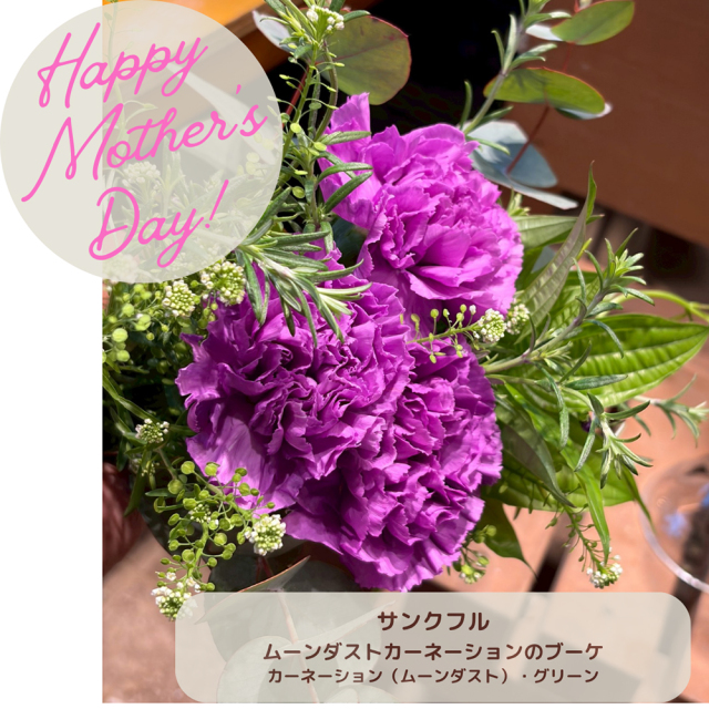 鎌倉ビール母の日ギフト2026カーネーションのフラワーアレンジメントと鎌倉ビール飲み比べセットクラフトビール