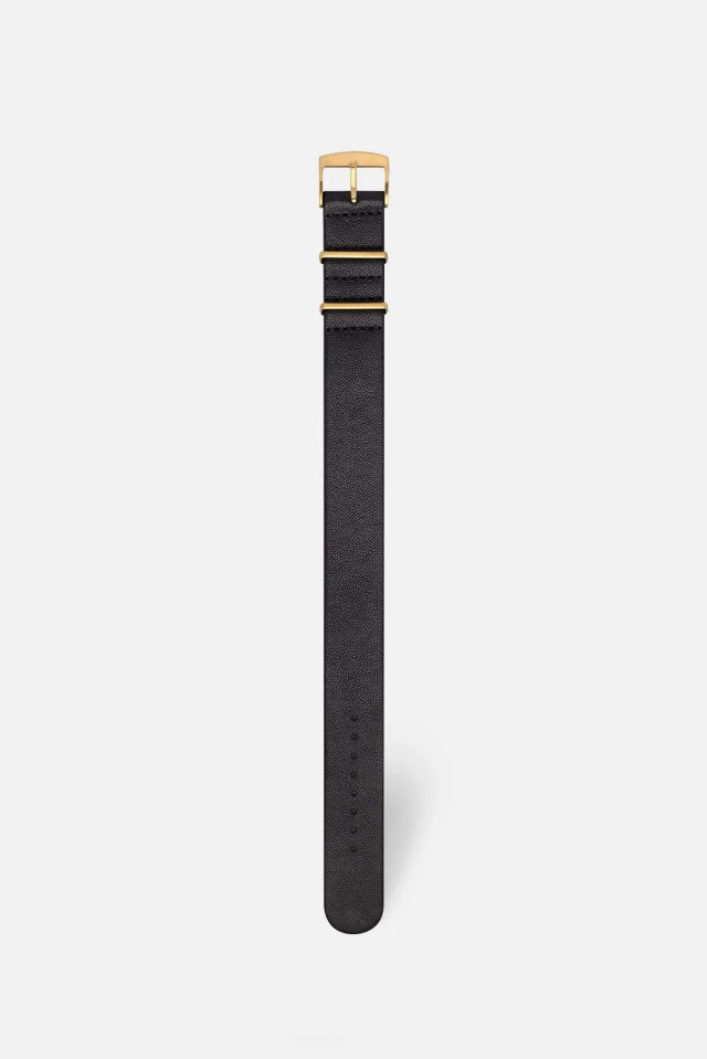 STRAP2451