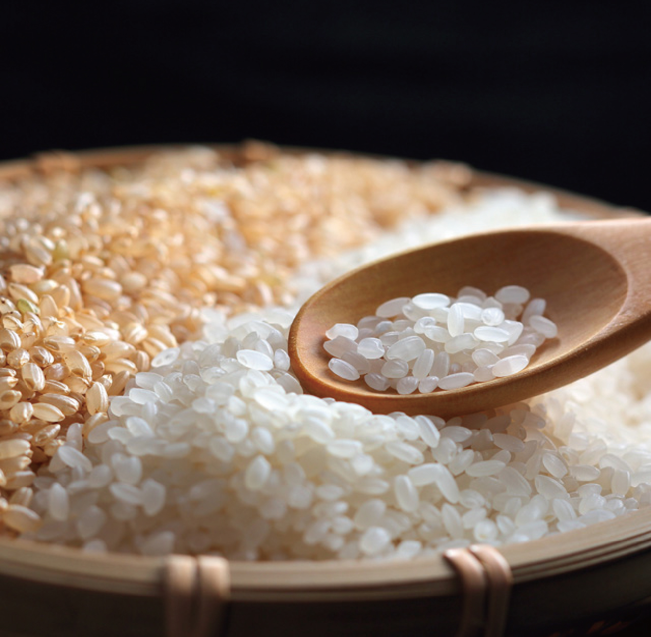 魚沼産こしひかり　雪椿2kg