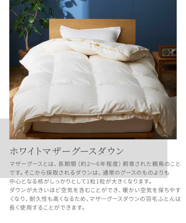羽毛布団 セミダブル ハンガリー産ホワイトマザーダック 超長綿 二層 生成り 羽毛布団 セミダブル ハンガリー産ホワイトマザーダック 超長綿 二層