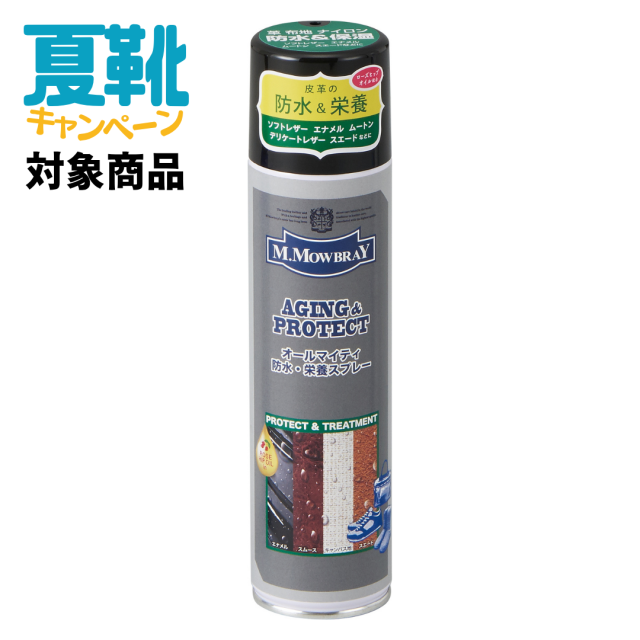 サマーキャンペーン