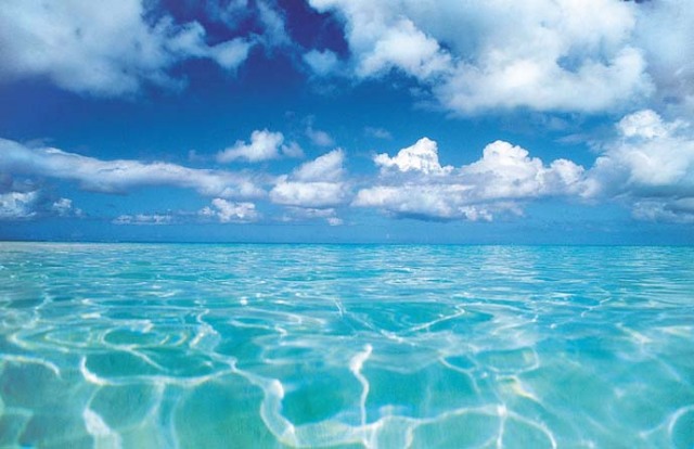 クロコダイルバック