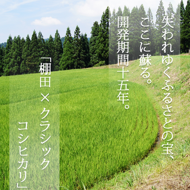 お中元