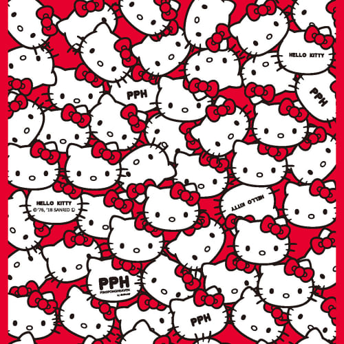 [三英]HELLO KITTY 吸着シート