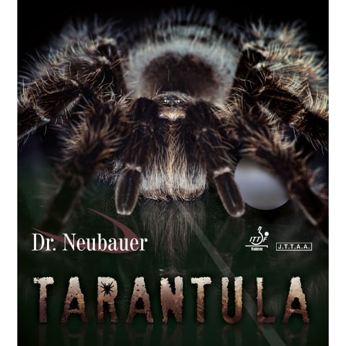 [JUIC]Dr.Neubauerタランチュラ