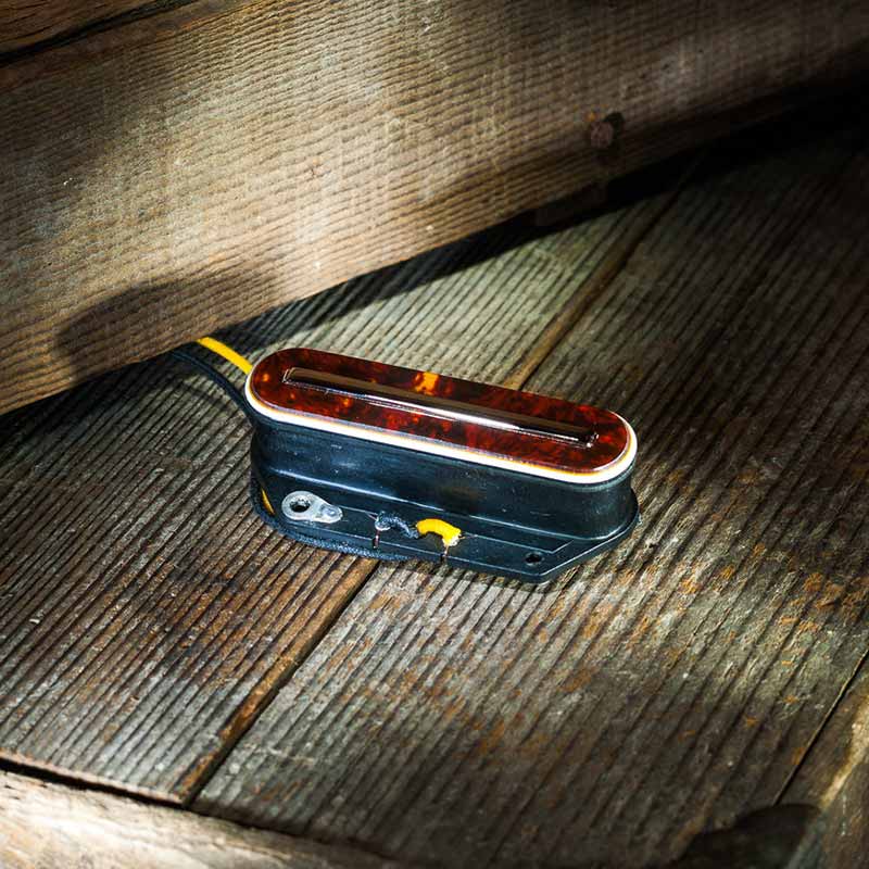 LOLLAR PICKUPS/BS Tele Bridge【Tortoise】【お取り寄せ商品】