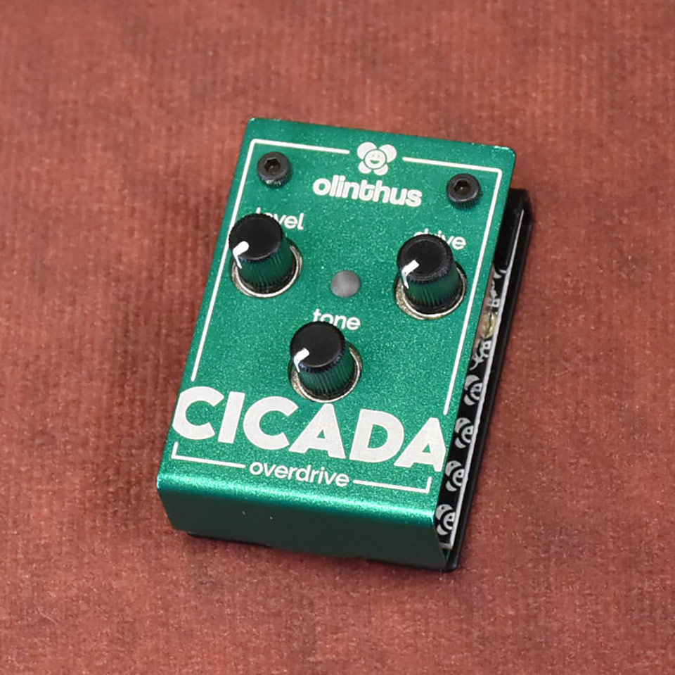 Olinthus/CICADA【在庫あり】