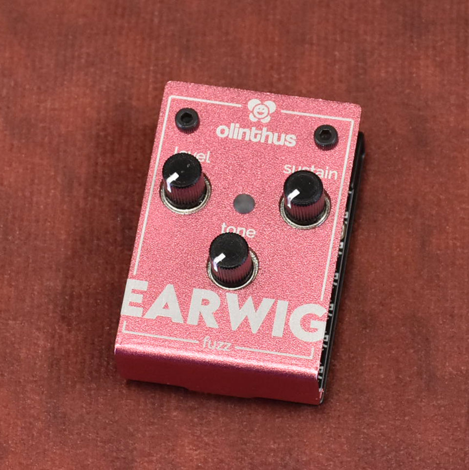 Olinthus/EARWIG【在庫あり】