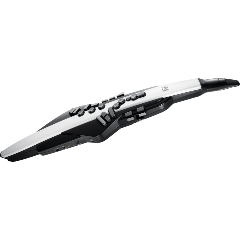 Roland/Aerophone AE-20