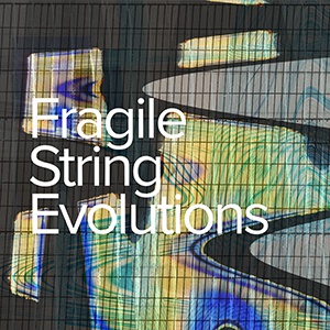 SPITFIRE AUDIO/FRAGILE STRING EVOLUTIONS【～05/04 期間限定特価キャンペーン】【オンライン納品】【在庫あり】