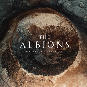 SPITFIRE AUDIO/THE ALBIONS ORCHESTRAL SELECTS【～05/17 期間限定特価キャンペーン】【オンライン納品】【在庫あり】
