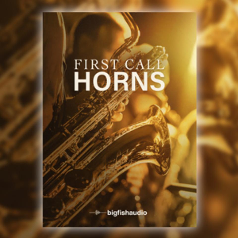 BIG FISH AUDIO/FIRST CALL HORNS【オンライン納品】【在庫あり】