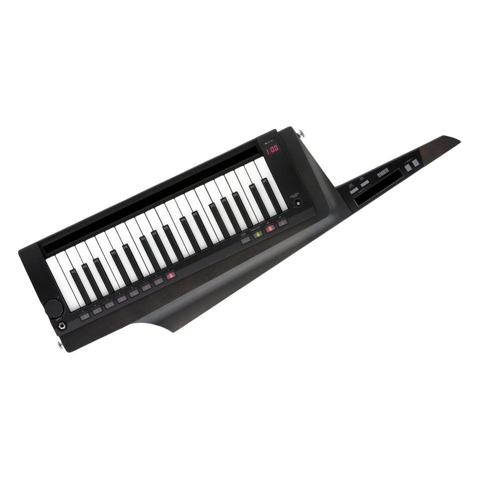 KORG/RK-100S 2 BK