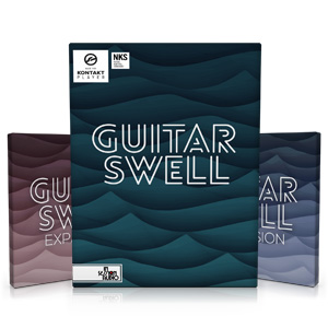 In Session Audio/GUITAR SWELL ＋ EXPANSION 【オンライン納品】【在庫あり】