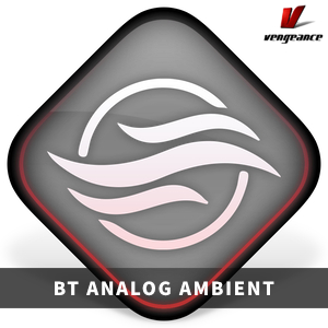 VENGEANCE SOUND/BT ANALOG AMBIENT【オンライン納品】【在庫あり】