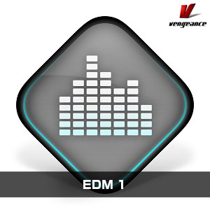 VENGEANCE SOUND/EDM 1【オンライン納品】【在庫あり】