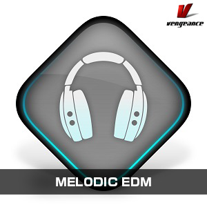 VENGEANCE SOUND/MELODIC EDM【オンライン納品】【在庫あり】