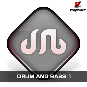 VENGEANCE SOUND/DRUM AND BASS 1【オンライン納品】【在庫あり】