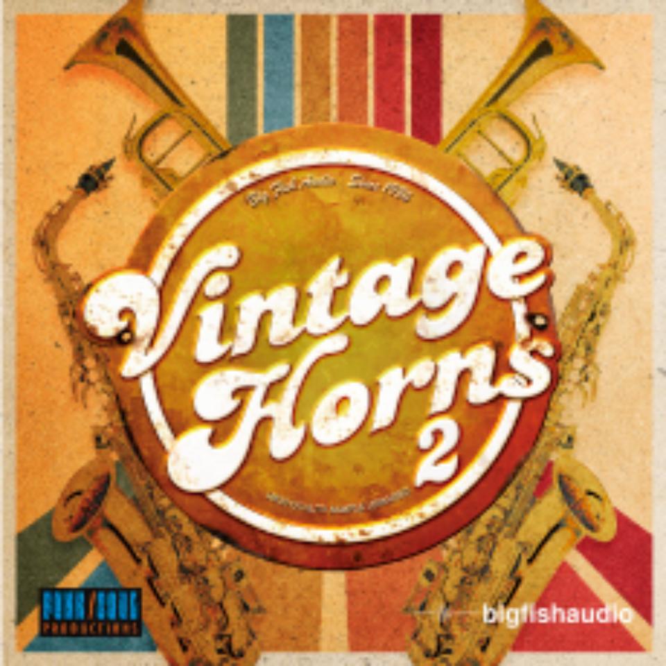 BIG FISH AUDIO/VINTAGE HORNS 2【オンライン納品】【在庫あり】