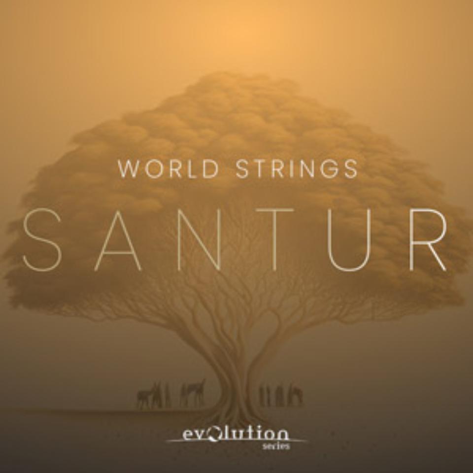 EVOLUTION SERIES/WORLD STRINGS SANTUR【～05/12 期間限定特価キャンペーン】【オンライン納品】【在庫あり】