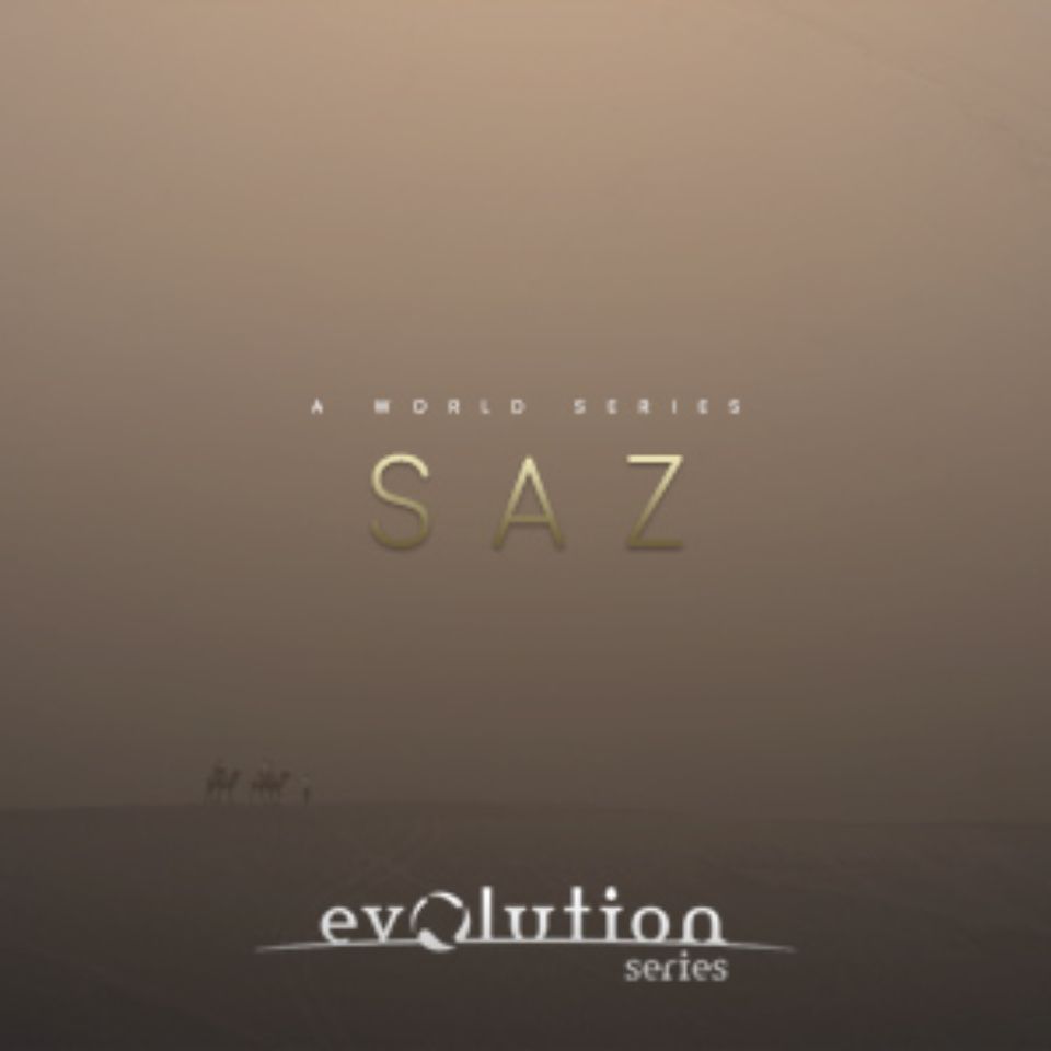 EVOLUTION SERIES/WORLD STRINGS SAZ【～05/12 期間限定特価キャンペーン】【オンライン納品】【在庫あり】