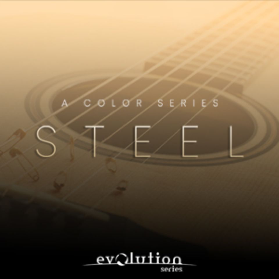 EVOLUTION SERIES/PREPARED COLORS STEEL【～05/12 期間限定特価キャンペーン】【オンライン納品】【在庫あり】