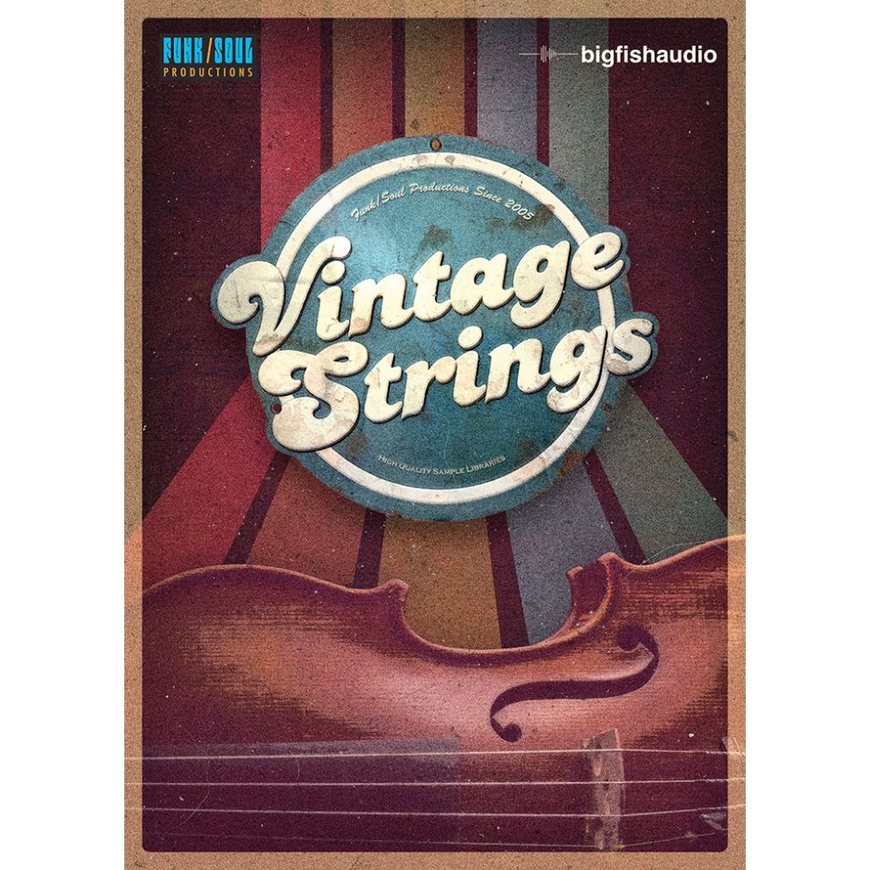 BIGFISHAUDIO/VINTAGESTRINGS【オンライン納品】【在庫あり】