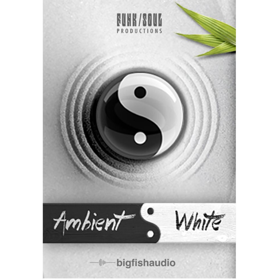 BIGFISHAUDIO/AMBIENTWHITE【オンライン納品】【在庫あり】