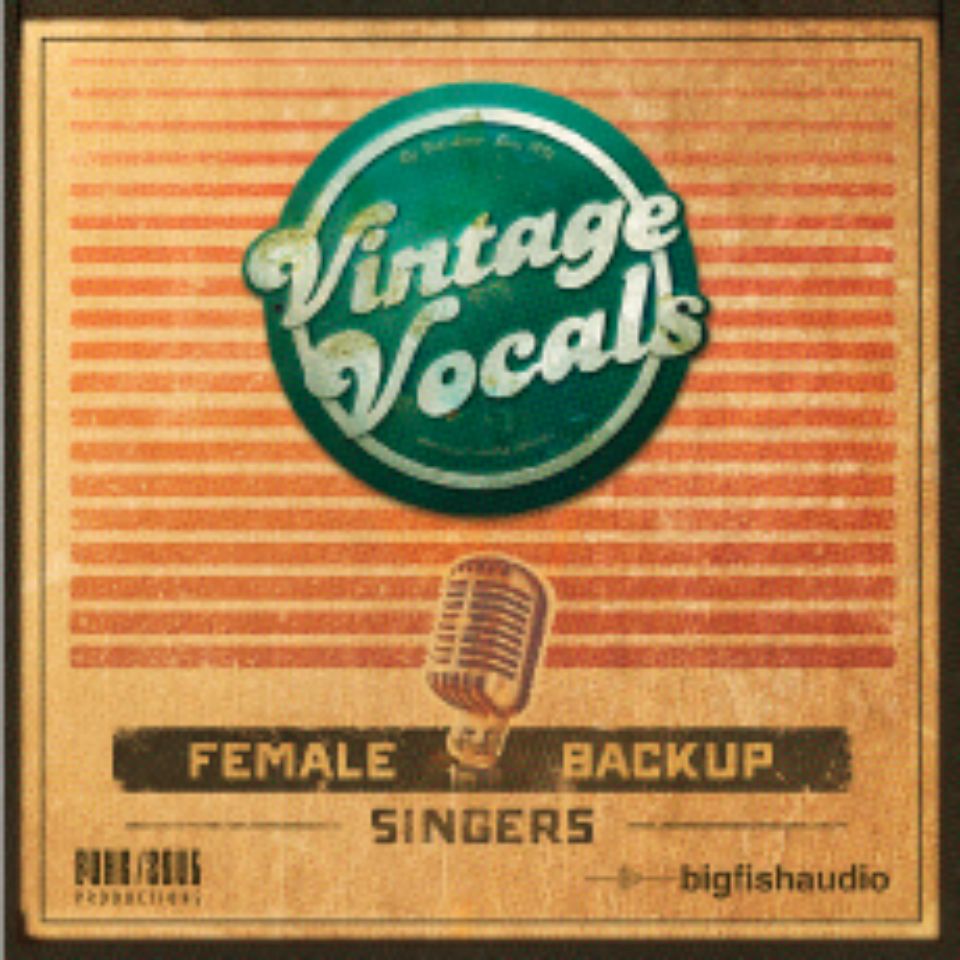 BIGFISHAUDIO/VINTAGEVOCALS【オンライン納品】【在庫あり】