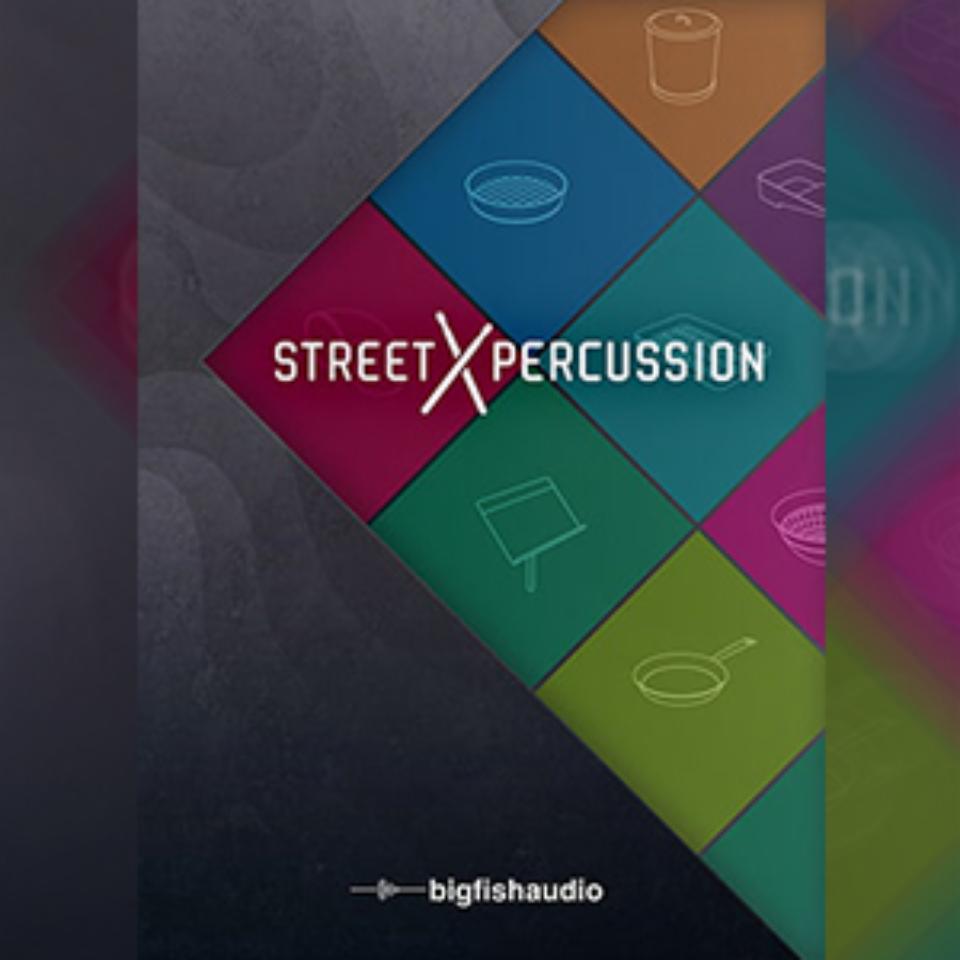BIG FISH AUDIO/STREET PERCUSSION【オンライン納品】【在庫あり】