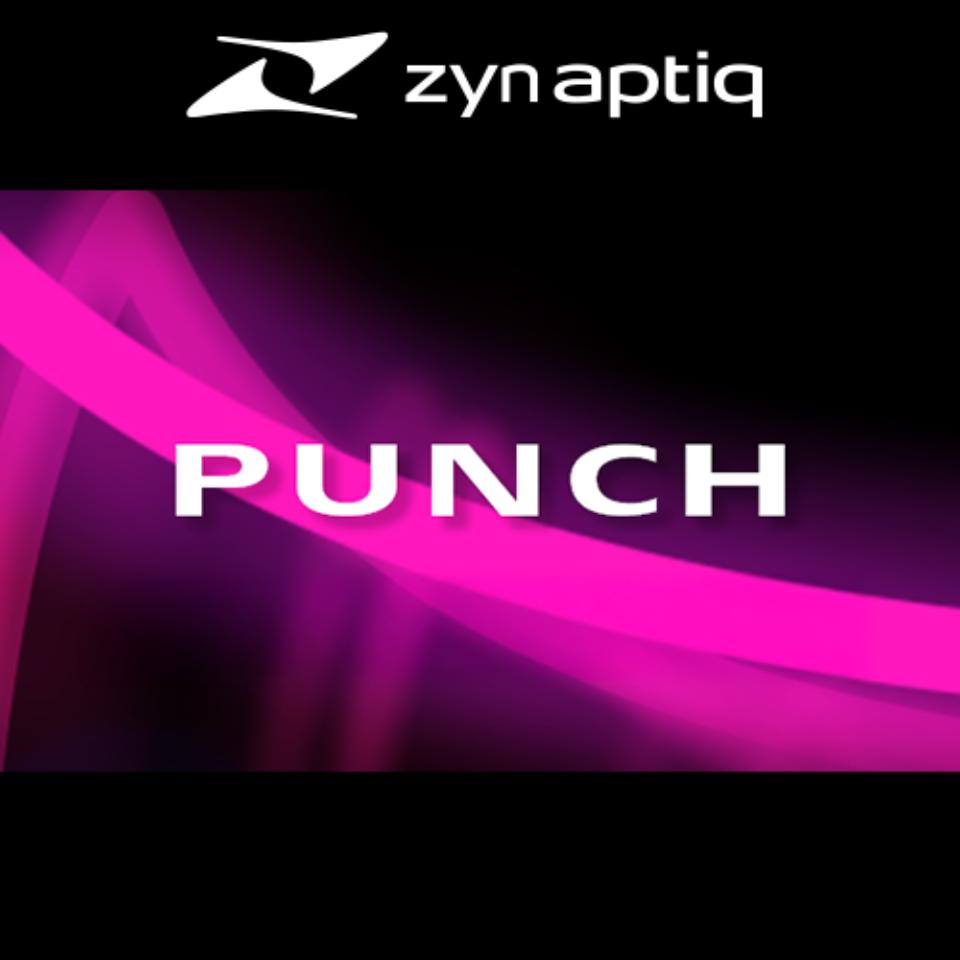 Zynaptiq/PUNCH【オンライン納品】【在庫あり】