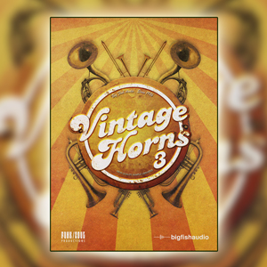 BIG FISH AUDIO/VINTAGE HORNS 3【オンライン納品】【在庫あり】