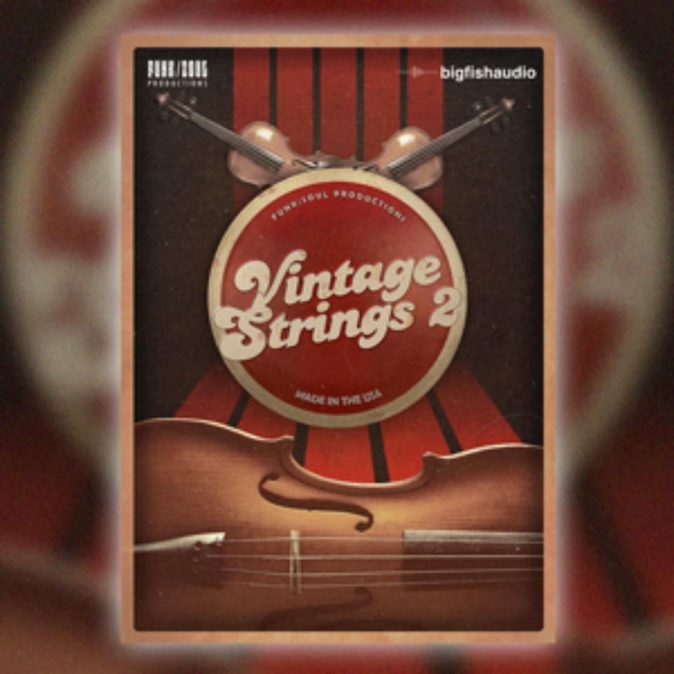 BIG FISH AUDIO/VINTAGE STRINGS 2【オンライン納品】【在庫あり】