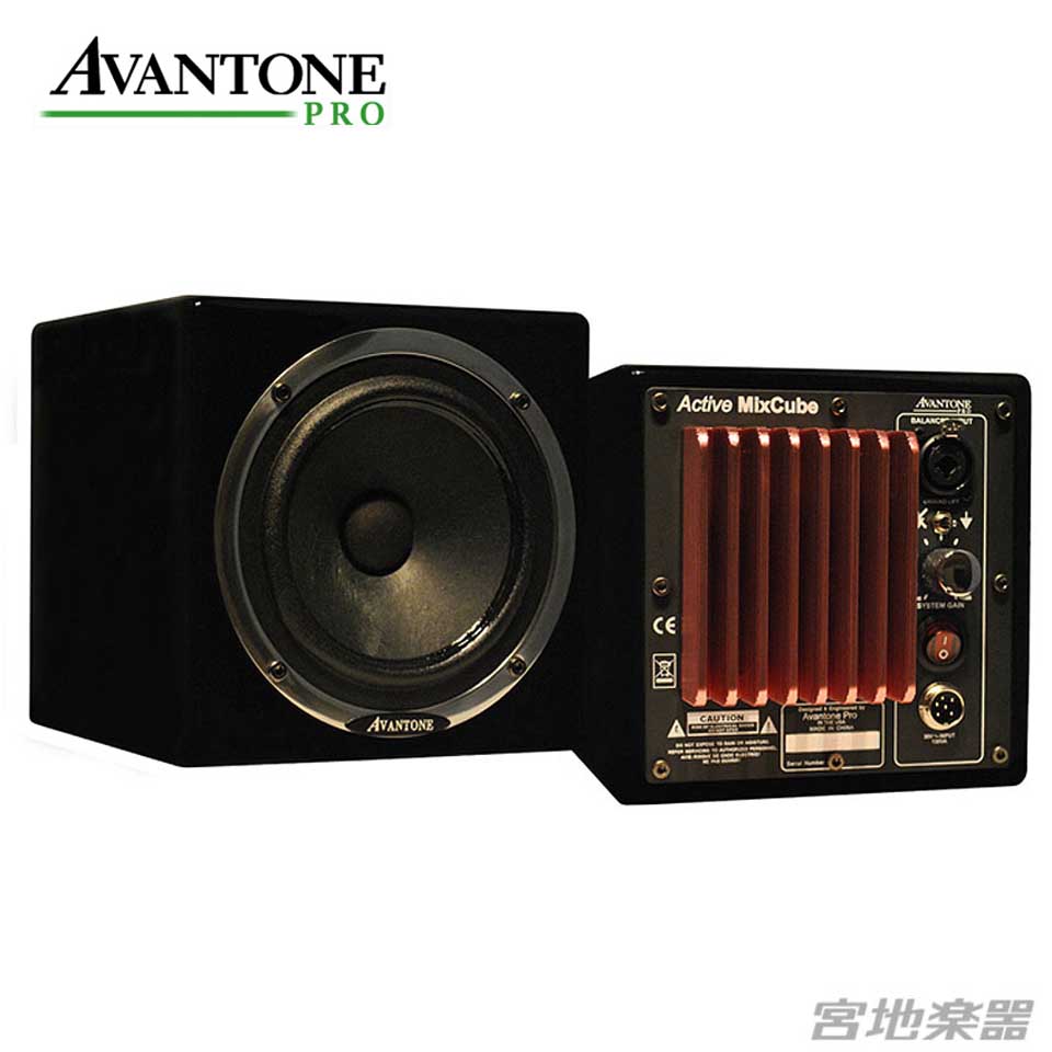 Avantone Pro/Active Mixcubes ブラック【ペア】