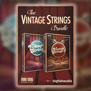 BIG FISH AUDIO/VINTAGE STRINGS BUNDLE【オンライン納品】【在庫あり】