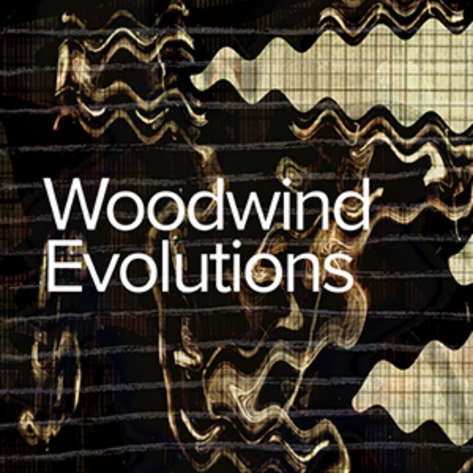 SPITFIRE AUDIO/WOODWIND EVOLUTIONS【～05/04 期間限定特価キャンペーン】【オンライン納品】【在庫あり】