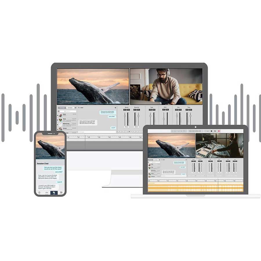Soundwhale/Soundwhale Level 2 Recording Solution (Perpetual)【オンライン納品】