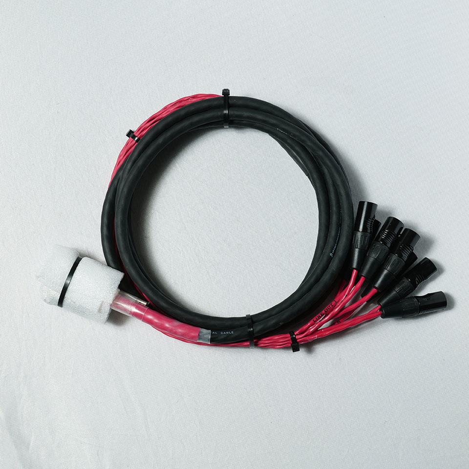 Avid/DB25-XLRM DigiSnake 12'マルチケーブル【在庫あり】