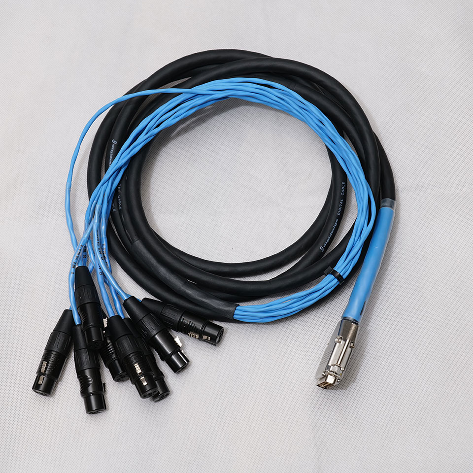 Avid/DB25-XLRF DigiSnake 12'マルチケーブル【在庫あり】