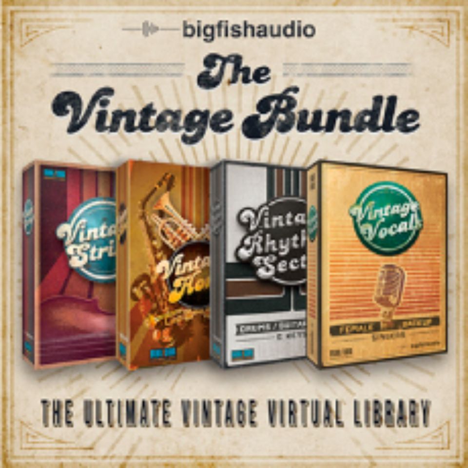 BIG FISH AUDIO/THE VINTAGE BUNDLE【オンライン納品】