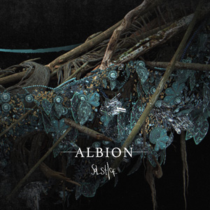 SPITFIRE AUDIO/ALBION SOLSTICE【～05/04 期間限定特価キャンペーン】【オンライン納品】【在庫あり】