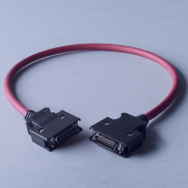 ACOUSTIC REVIVE/DIGI CABLE TYPE C（Large-Large） 48cm【お取り寄せ商品】