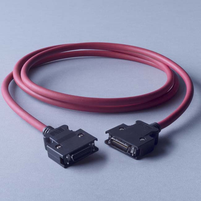 ACOUSTIC REVIVE/DIGI CABLE TYPE C（Large-Large） 155cm【お取り寄せ商品】
