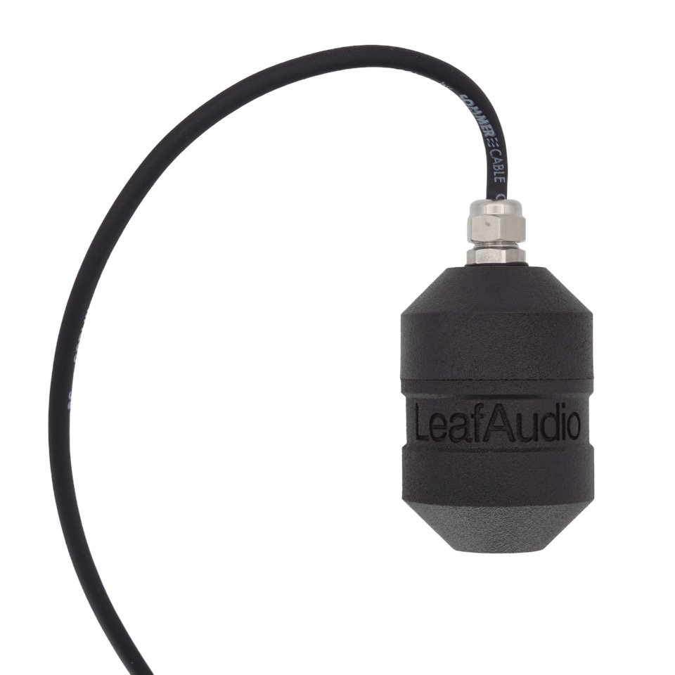 LeafAudio/Geophone L【WTG】【在庫あり】